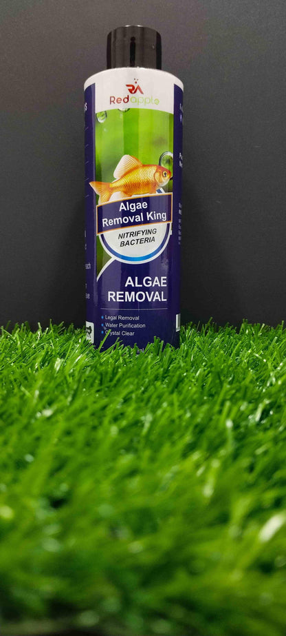Algae Remover