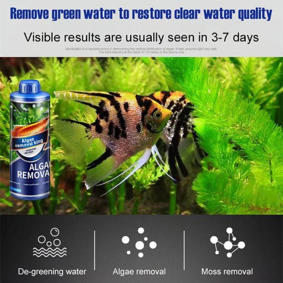 Algae Remover