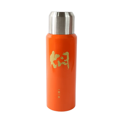 Stainless Steel Insulated Vacuum Flask Bottle (600ml) Approx