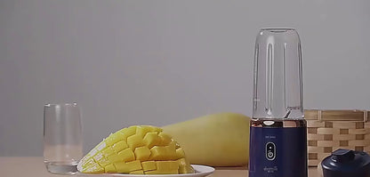 Small Portable Juicer