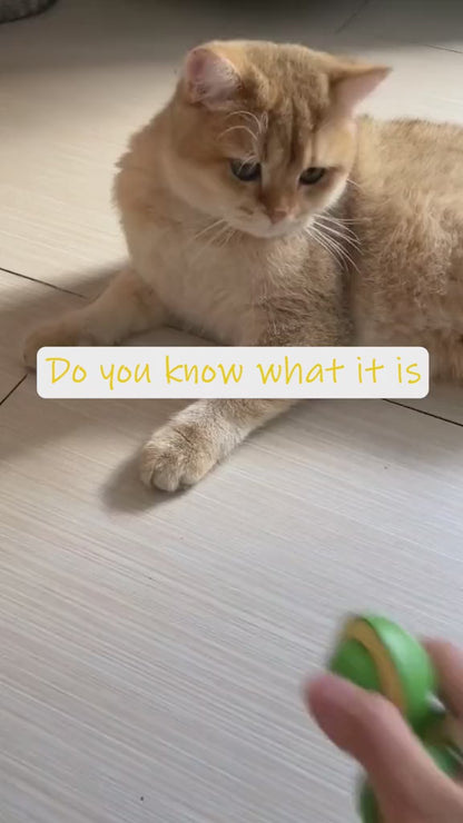 Catnip Minty Avocado Ball Toy