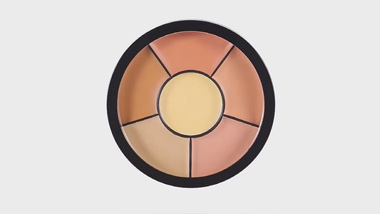 Pro Concealer Palette Pack of 2